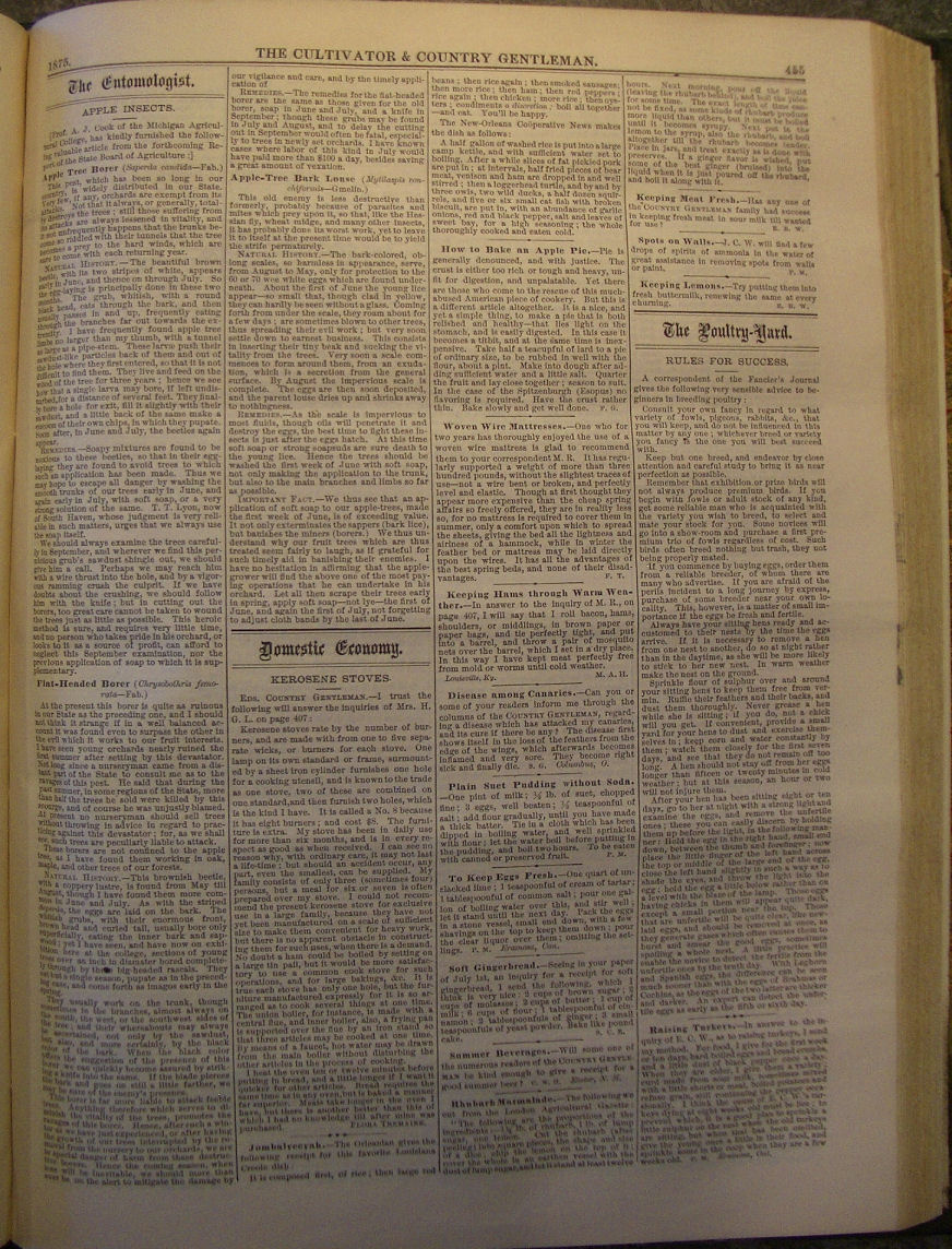Jambalaya history, origins and etymology